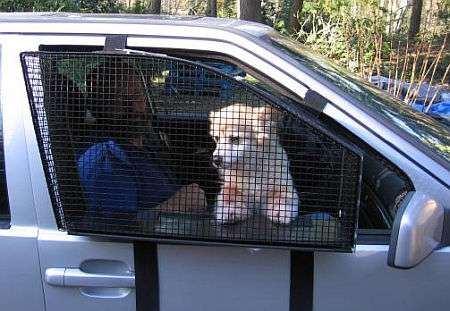 Dog cage outside car window