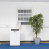 EasyCool 3.5kW portable air conditioner in an Office with hose out the window